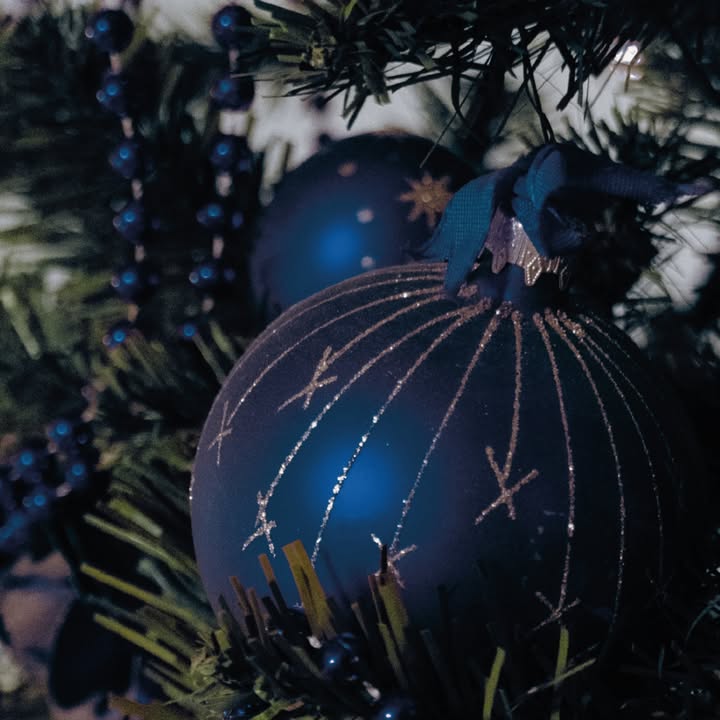 C.A. de Groot Groep BV