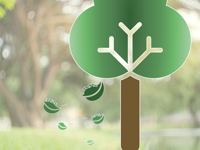 CO2 footprint 2025 - 1e helft